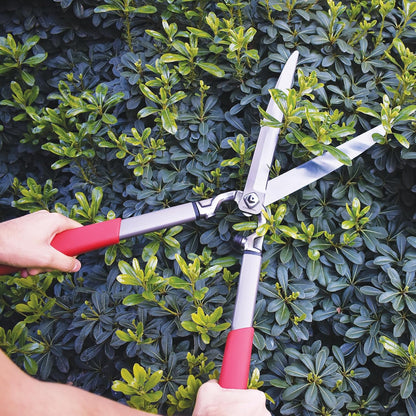 Corona HS15150 ClassicCUT Hedge Shears, 10-Inch, Red