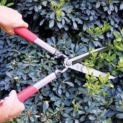 Corona HS15150 ClassicCUT Hedge Shears, 10-Inch, Red