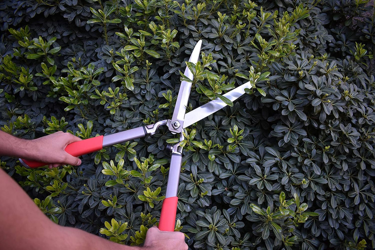 Corona HS15150 ClassicCUT Hedge Shears, 10-Inch, Red