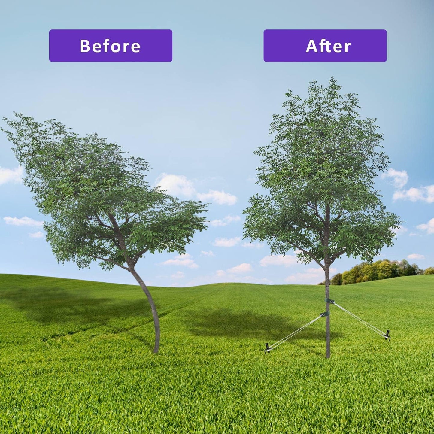 Heavy Duty Steel Tree Stake Kits,Tree Staking and Supports Kits for Young Trees Against Bad Weather, Include 3 PCS Tree Straps for Staking, 3 PCS 11.8 Inch Tree Stakes and 31.2 Feet Rope for Anchoring