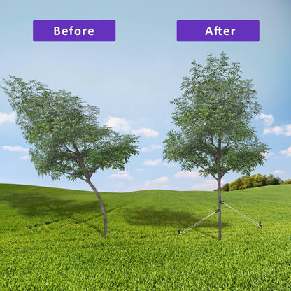 Heavy Duty Steel Tree Stake Kits,Tree Staking and Supports Kits for Young Trees Against Bad Weather, Include 3 PCS Tree Straps for Staking, 3 PCS 11.8 Inch Tree Stakes and 31.2 Feet Rope for Anchoring