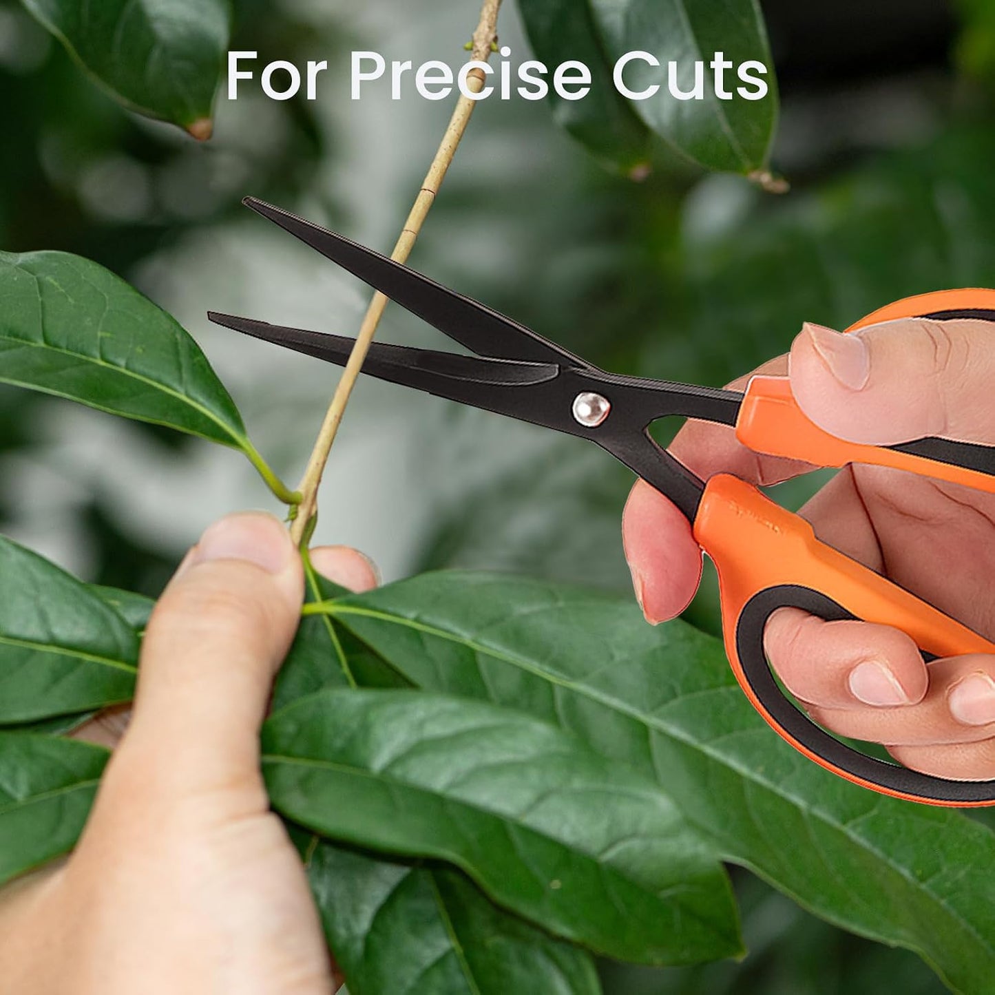 3 Packs Trimming Scissors Teflon Coated Non Stick Blades Pruning Shears Gardening Hand Pruning Snips with Straight Stainless Steel Precision Blade