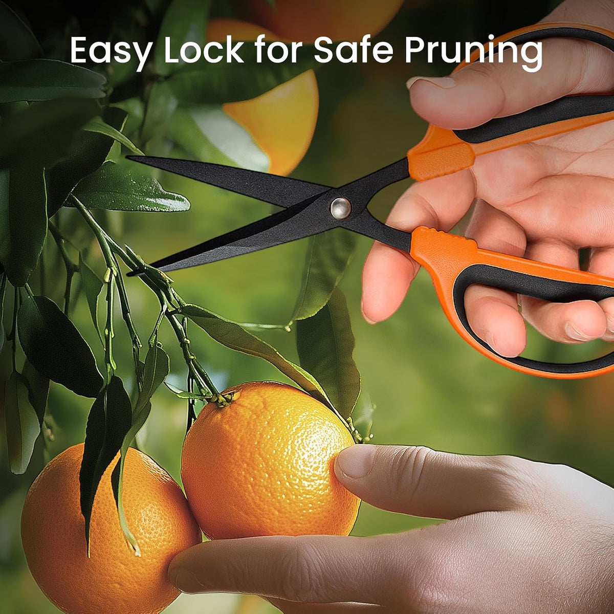 3 Packs Trimming Scissors Teflon Coated Non Stick Blades Pruning Shears Gardening Hand Pruning Snips with Straight Stainless Steel Precision Blade