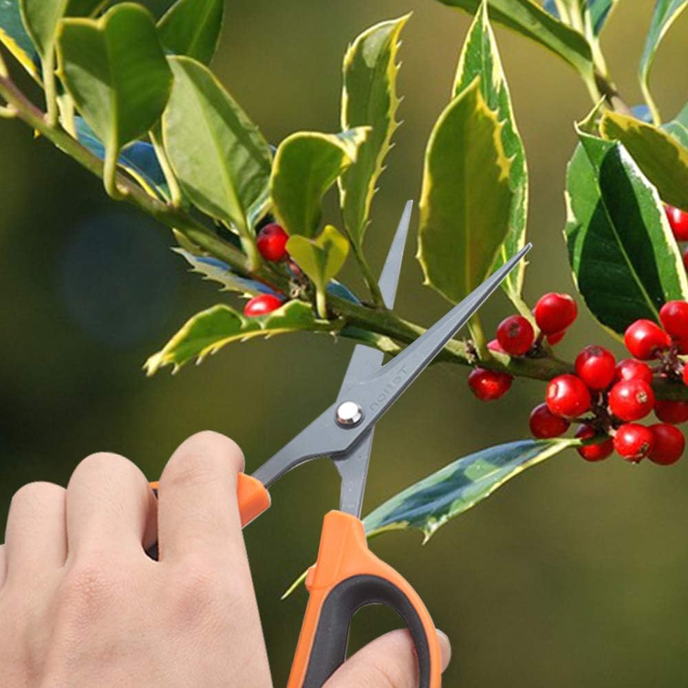 3 Packs Trimming Scissors Teflon Coated Non Stick Blades Pruning Shears Gardening Hand Pruning Snips with Straight Stainless Steel Precision Blade
