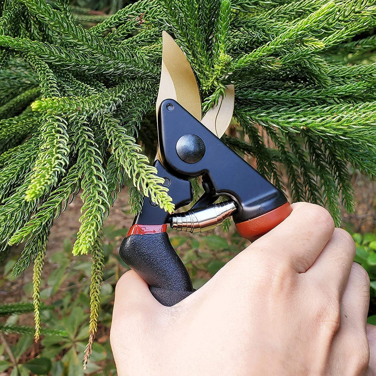 8.5" Professional Rotating Bypass Titanium Pruning Shears(GPPS-1014)