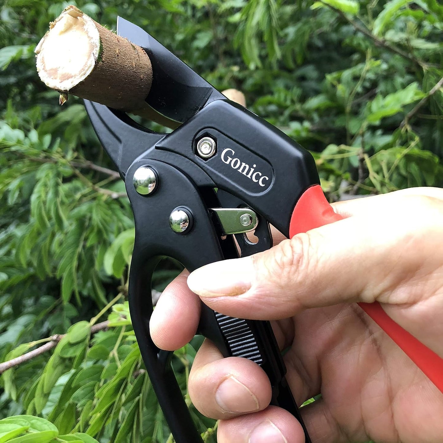 8.5" Professional Rotating Bypass Titanium Pruning Shears(GPPS-1014)