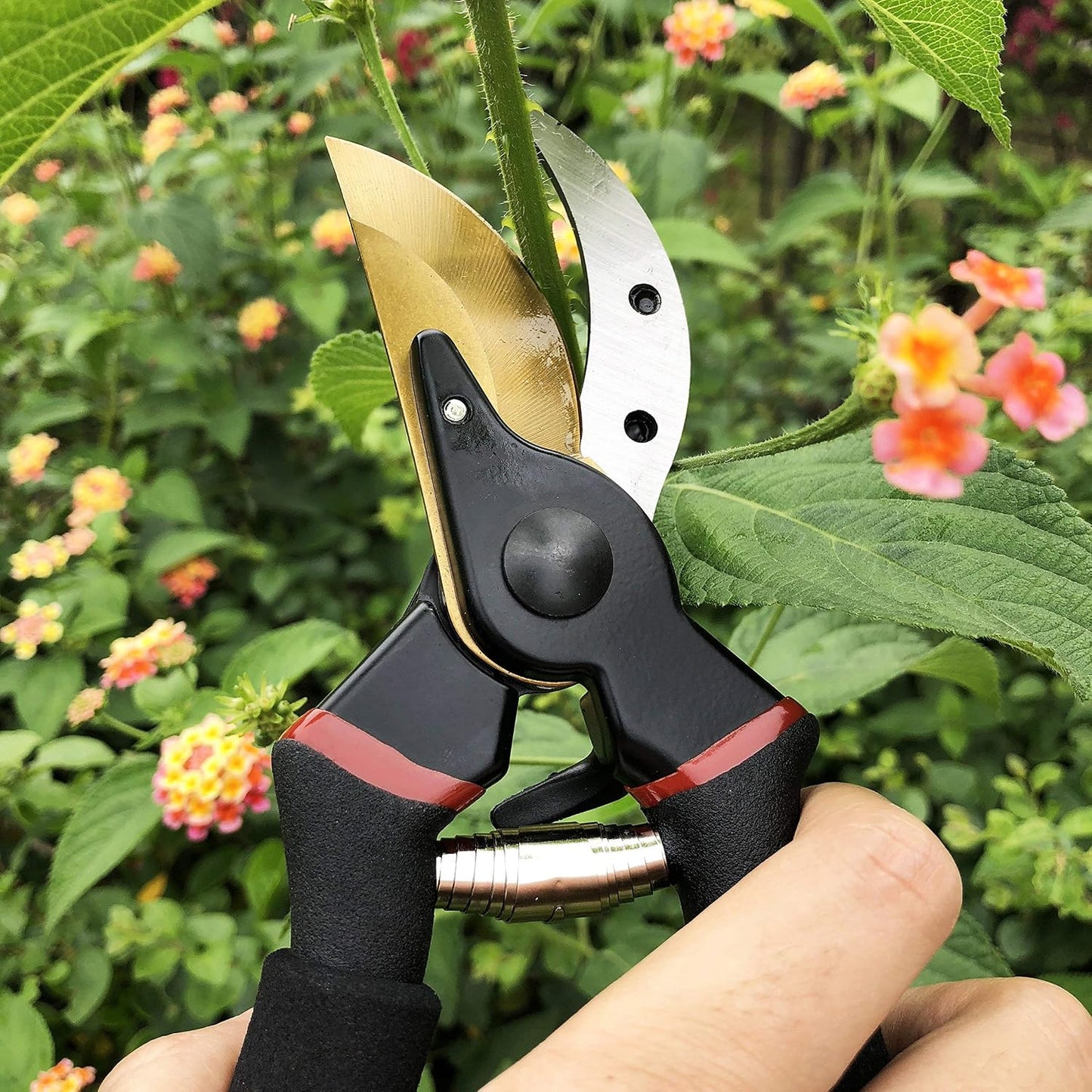 8.5" Professional Rotating Bypass Titanium Pruning Shears(GPPS-1014)