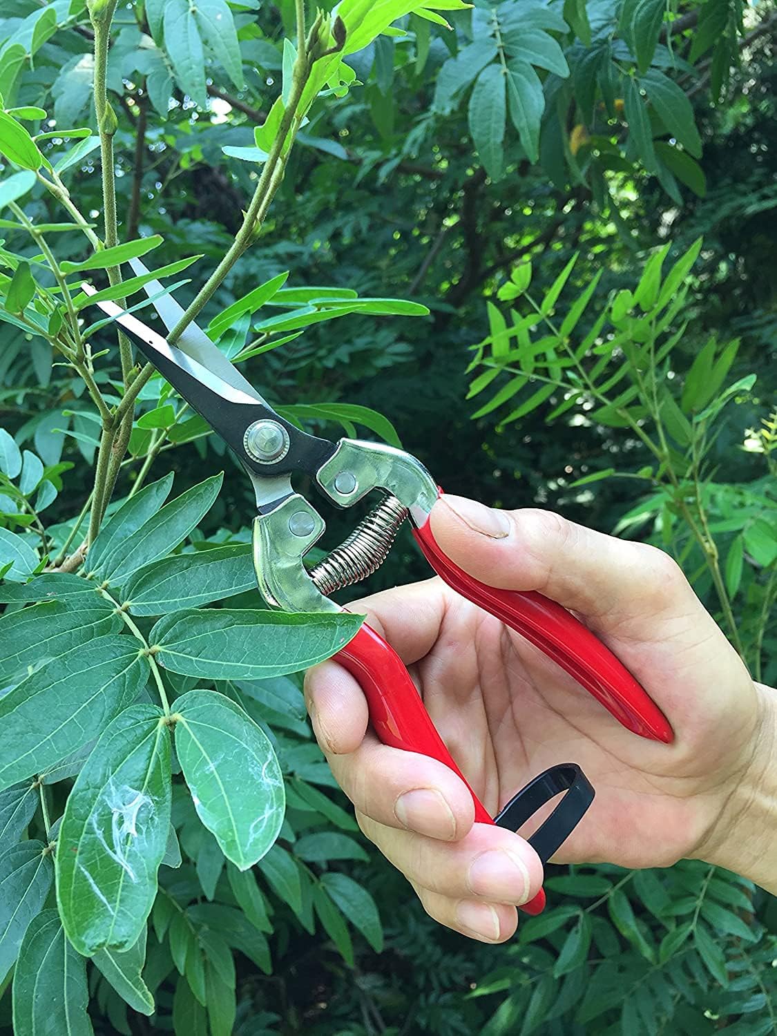 8.5" Professional Rotating Bypass Titanium Pruning Shears(GPPS-1014)