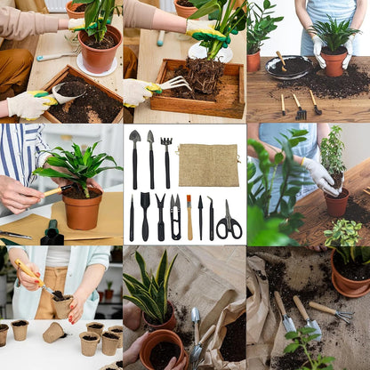 13Pcs Succulent Tools Set Mini Garden Tools Kit for Indoor Bonsai Cactus Care with Pruning Shears Scissors Transplanting Tools for Houseplant