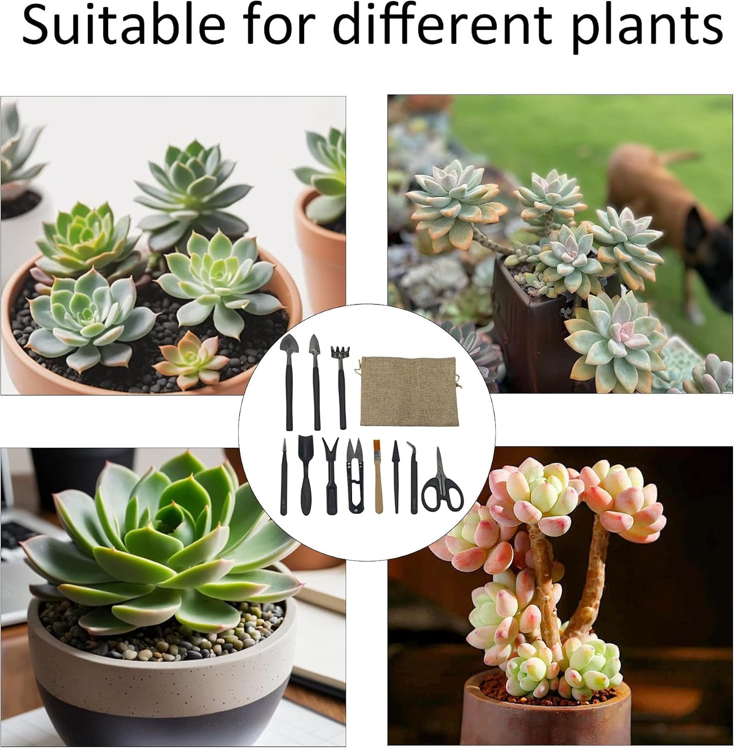 13Pcs Succulent Tools Set Mini Garden Tools Kit for Indoor Bonsai Cactus Care with Pruning Shears Scissors Transplanting Tools for Houseplant