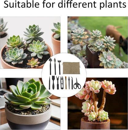 13Pcs Succulent Tools Set Mini Garden Tools Kit for Indoor Bonsai Cactus Care with Pruning Shears Scissors Transplanting Tools for Houseplant