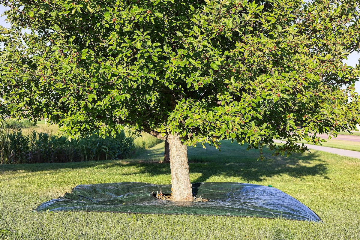 Landscape Tarp 8x8ft - 22" Center Hole to Fasten Around Trees and Shrubs - Complete with Garden Stakes