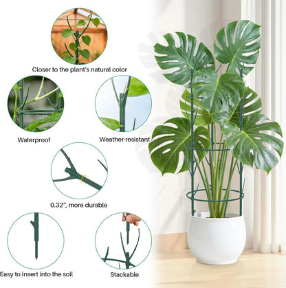 Monstera Plant Support Stakes, 30 Pcs Stackable Plant Support Stakes Sticks Poles for Indoor & Outdoor Plants, Climbing and Potted Plants, Stem Supports, Pothos