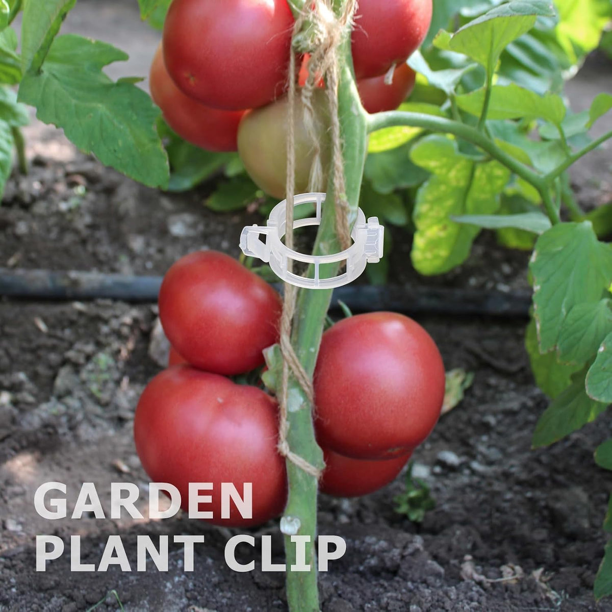 200PCS Green Plant Support Clips, Tomato Clips, Garden Clips, Trellis Clips, Vine Clips for Climbing Plants to Prevent Tomatoes from Pinching or Falling Off