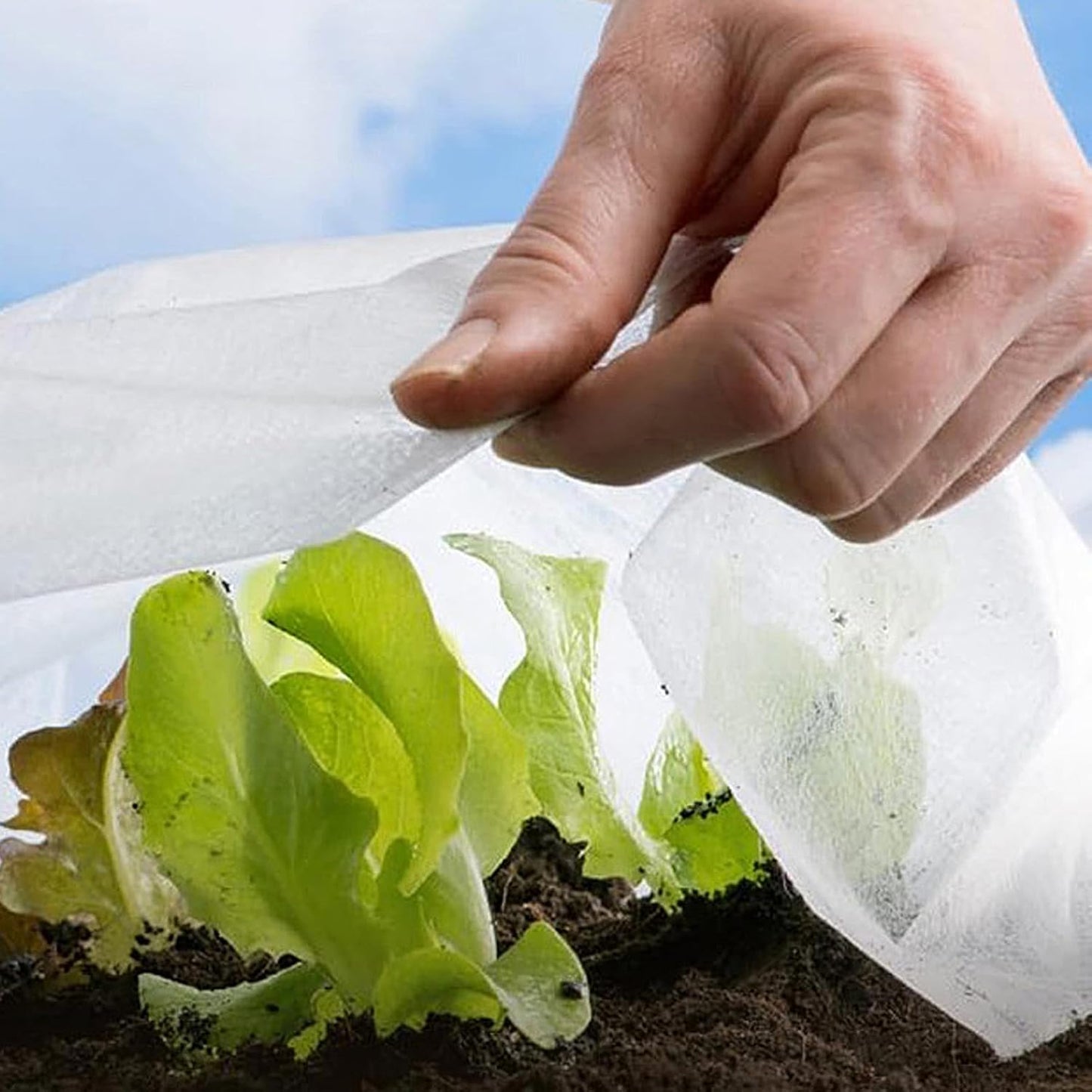 Plant Covers Freeze Protection, Reusable Floating Row Cover for Garden, Garden Fabric Plant Cover Plant Blanket for Cold Weather Snow Outdoor Plants (10 * 30ft/White)
