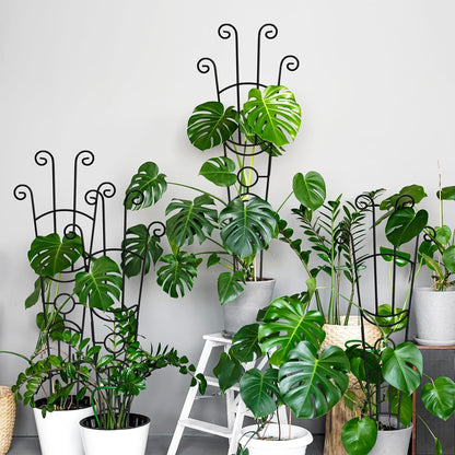 32.6in Monstera Plant Support Trellis for Indoor Plants, 2P