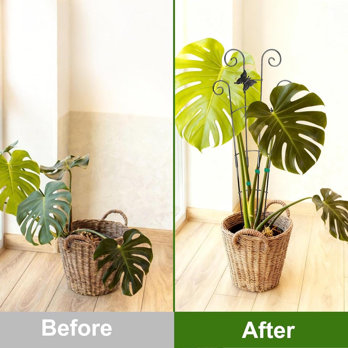 32.6in Monstera Plant Support Trellis for Indoor Plants, 2P