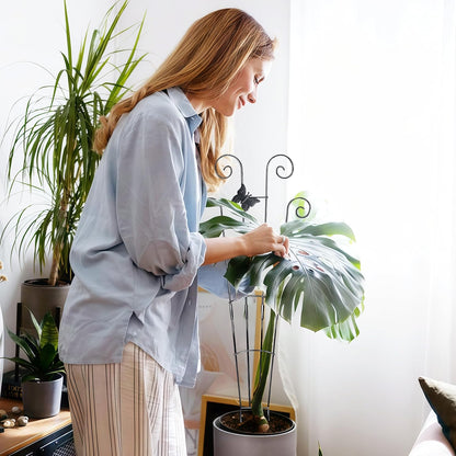 32.6in Monstera Plant Support Trellis for Indoor Plants, 2P