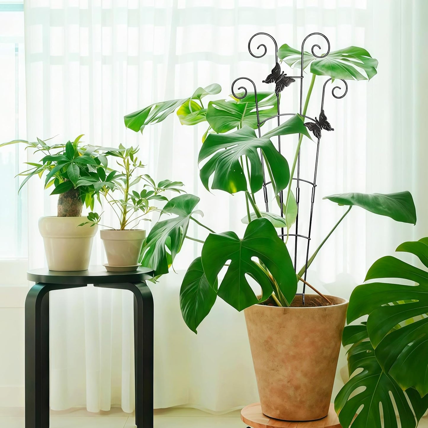 32.6in Monstera Plant Support Trellis for Indoor Plants, 2P