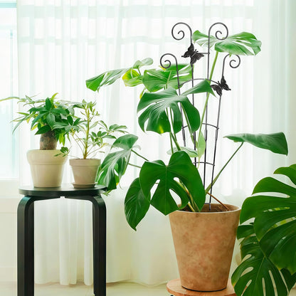 32.6in Monstera Plant Support Trellis for Indoor Plants, 2P