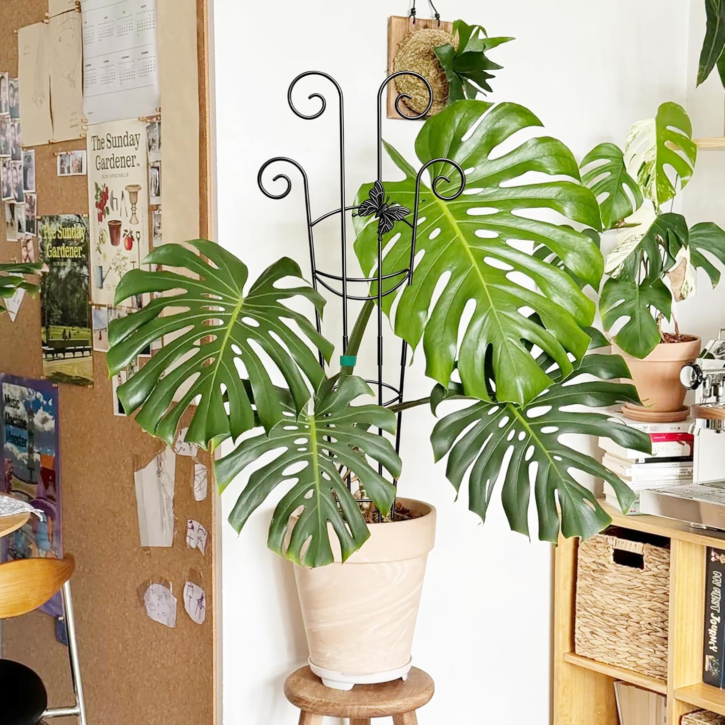 32.6in Monstera Plant Support Trellis for Indoor Plants, 2P