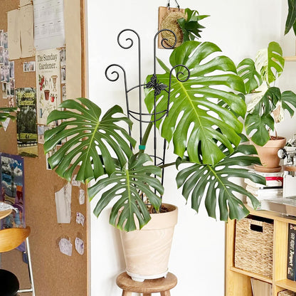 32.6in Monstera Plant Support Trellis for Indoor Plants, 2P
