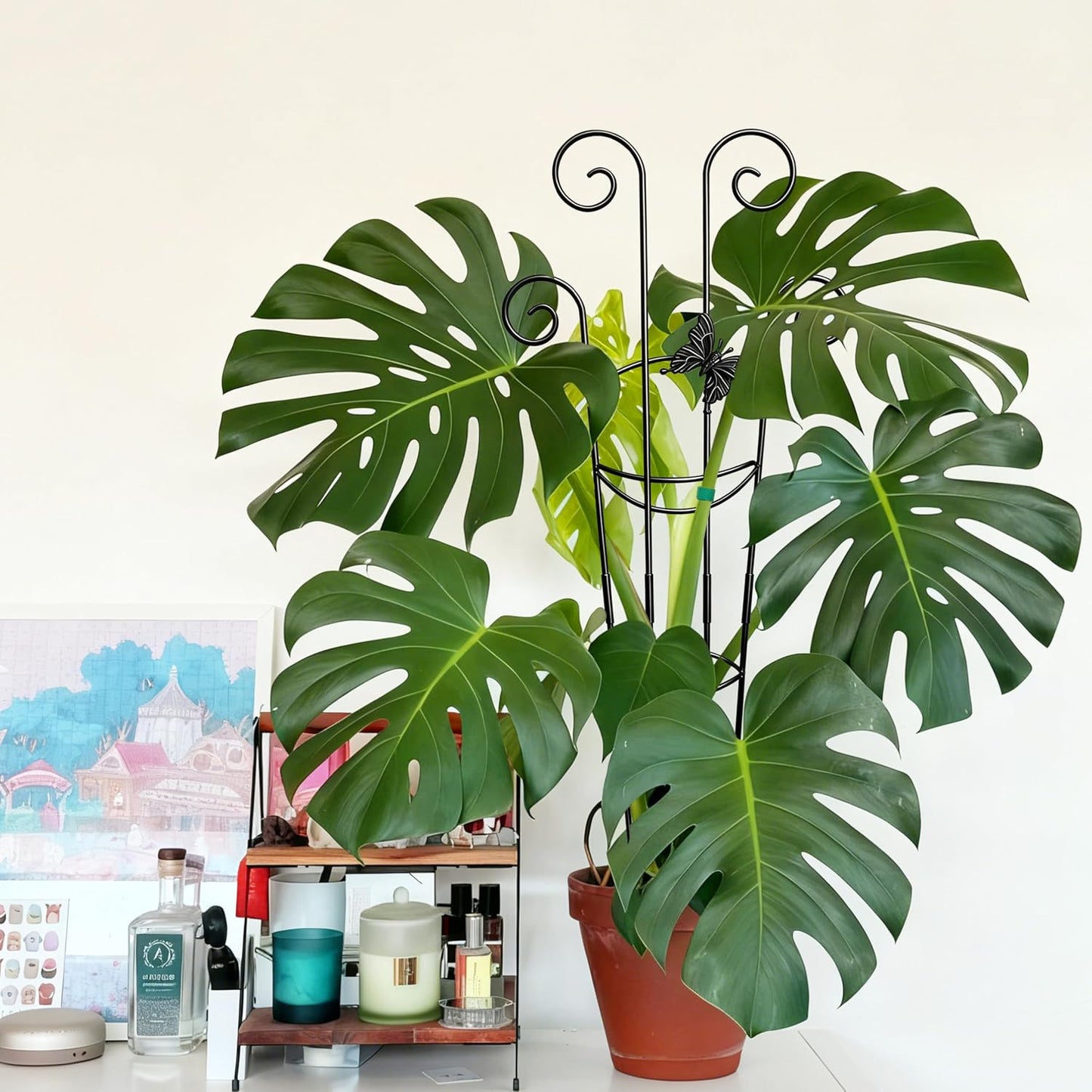 32.6in Monstera Plant Support Trellis for Indoor Plants, 2P