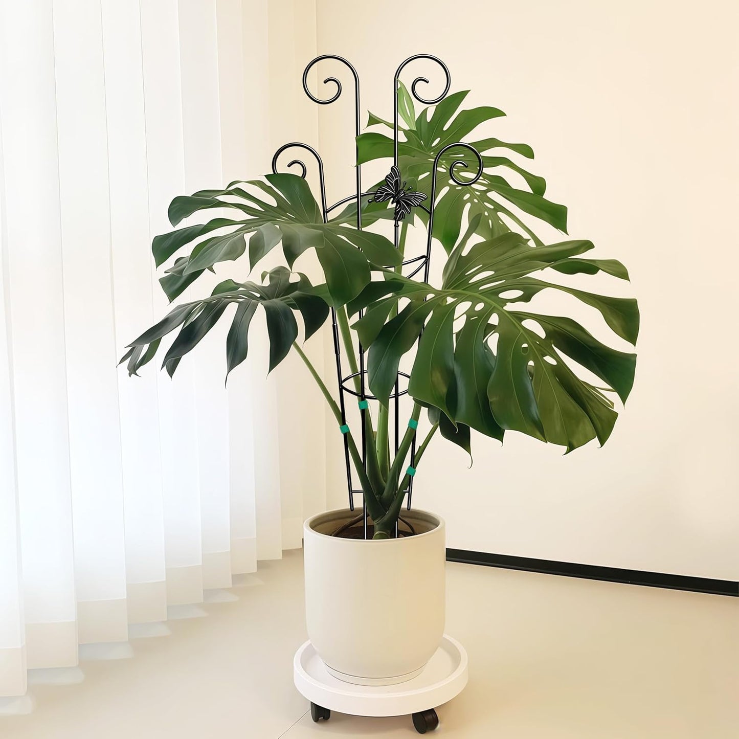 32.6in Monstera Plant Support Trellis for Indoor Plants, 2P