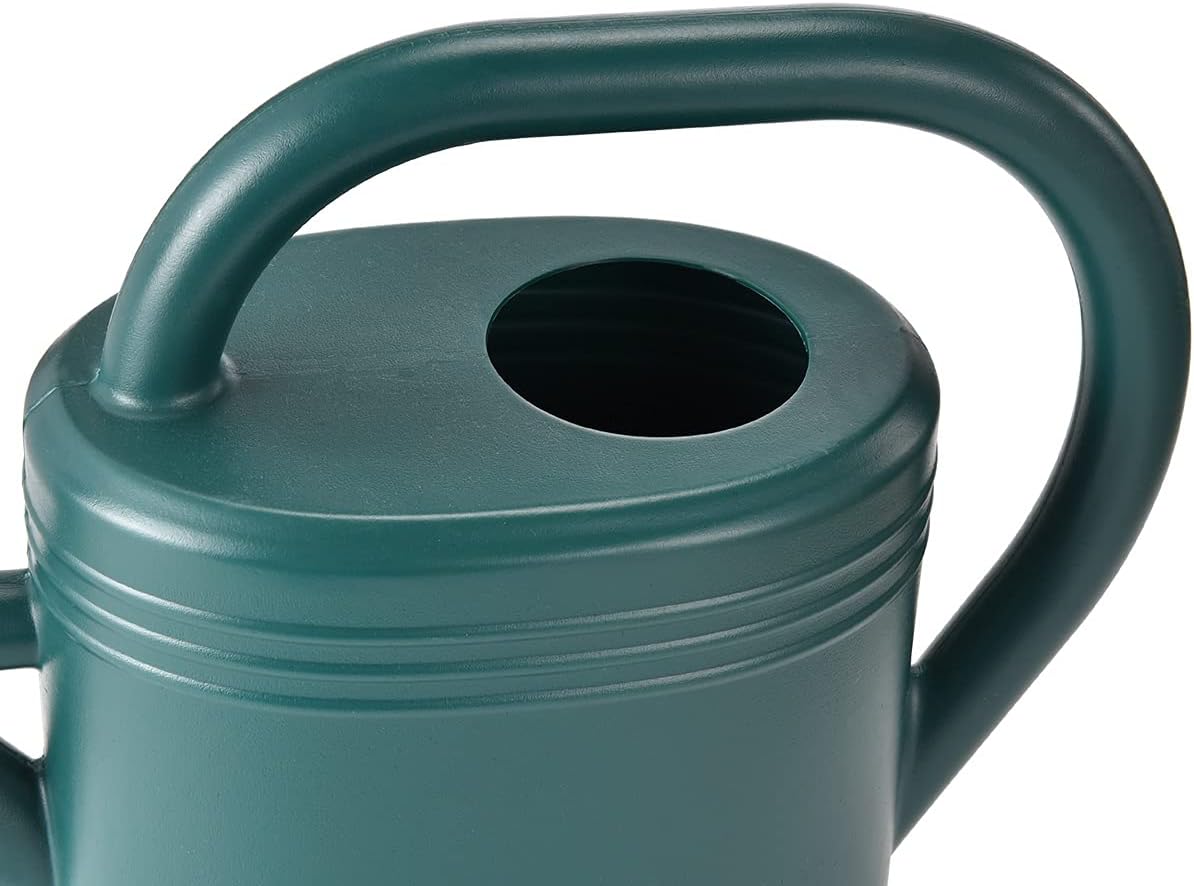Watering Can 1 Gallon for Indoor Plants, Garden, Outdoor Plant House Flower, Gallon Large Long Spout with Sprinkler Head (Blue)
