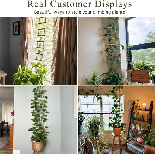 Wooden Ladder Plant Trellis for Climbing Plants – 6ft Extra Tall Indoor & Outdoor Hanging Wall Wooden Trellis Garden Plant Support, Easy to Install for Vines, Ivy, Pothos, Potted Plants