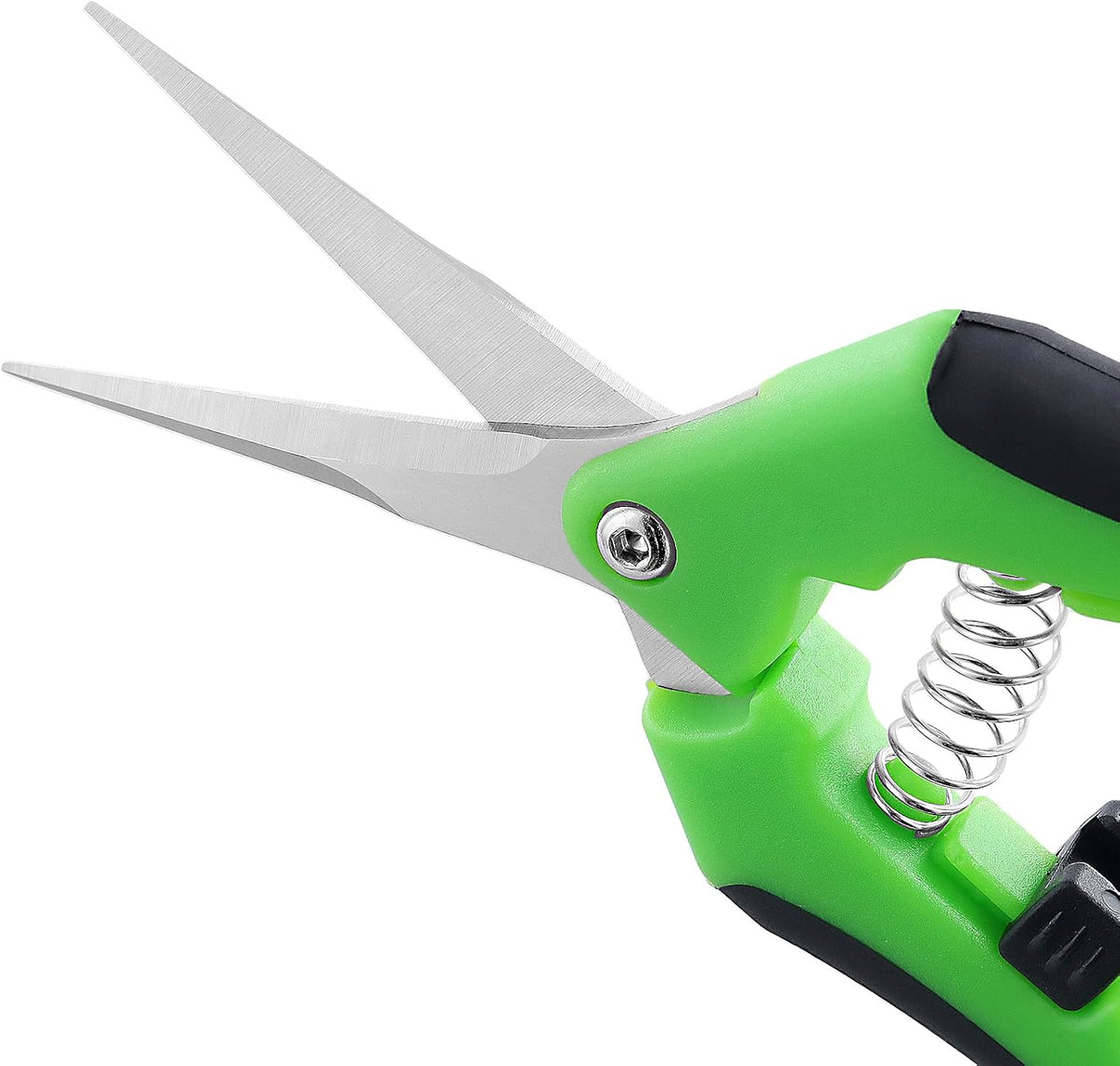 15 PCS 6.5 inch Garden Trimming Scissors, Gardening Hand Pruners with Straight Stainless Steel Precision Blades, Pruning Shears for Flowers Branches Precise Cuts, Green