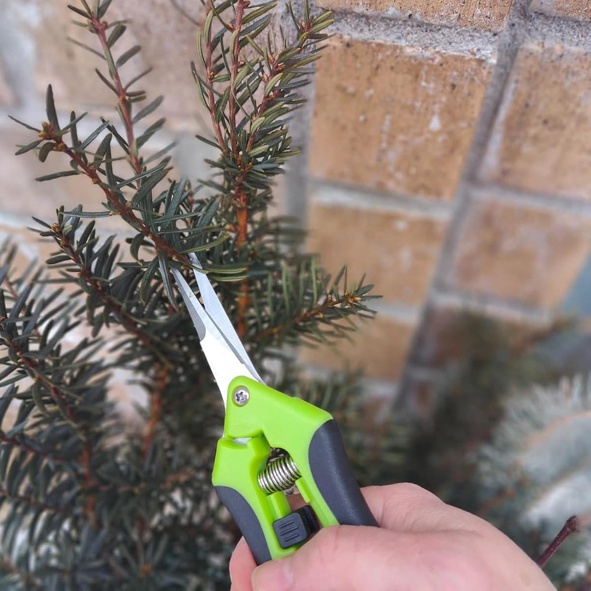 15 PCS 6.5 inch Garden Trimming Scissors, Gardening Hand Pruners with Straight Stainless Steel Precision Blades, Pruning Shears for Flowers Branches Precise Cuts, Green