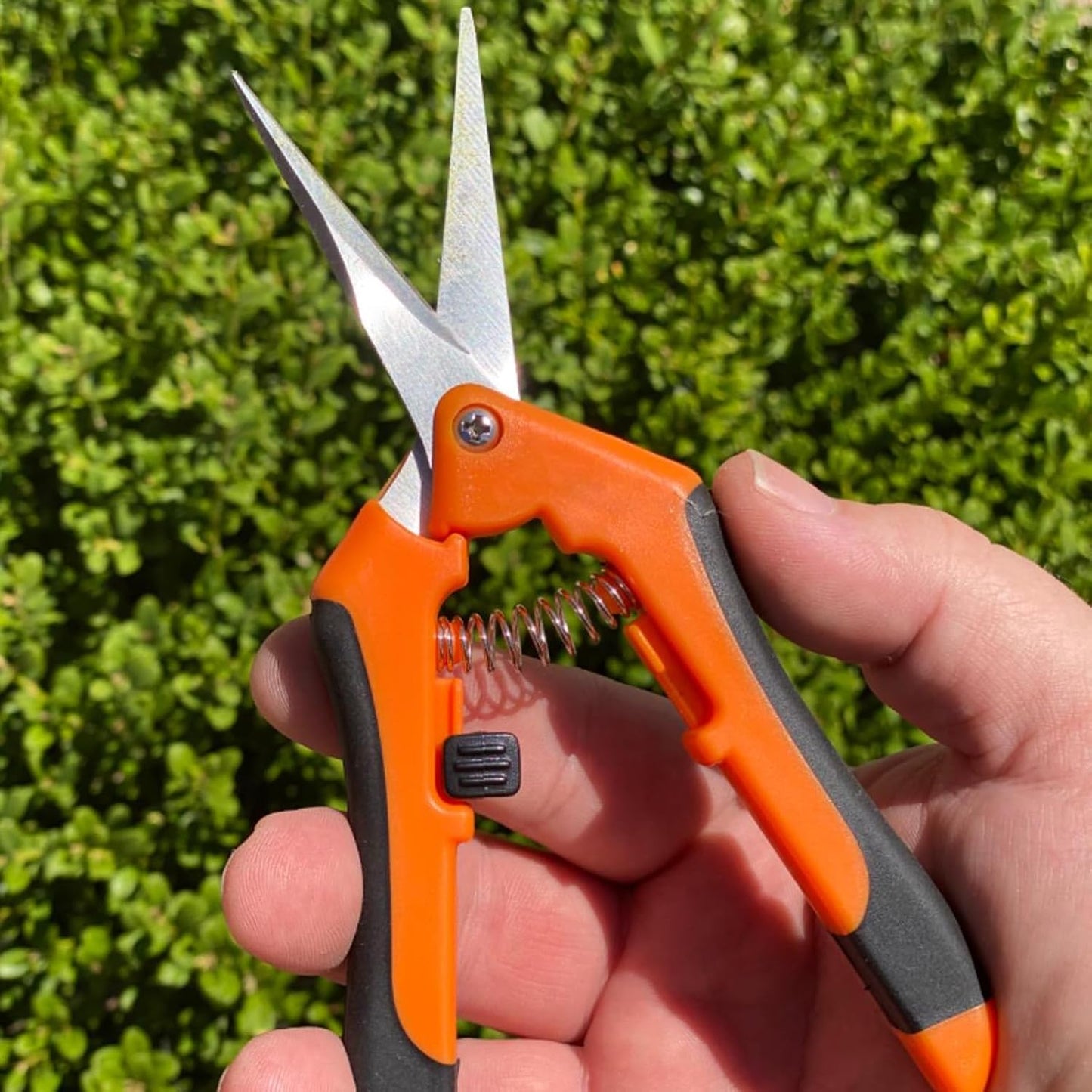 15 PCS 6.5 inch Garden Trimming Scissors, Gardening Hand Pruners with Straight Stainless Steel Precision Blades, Pruning Shears for Flowers Branches Precise Cuts, Green