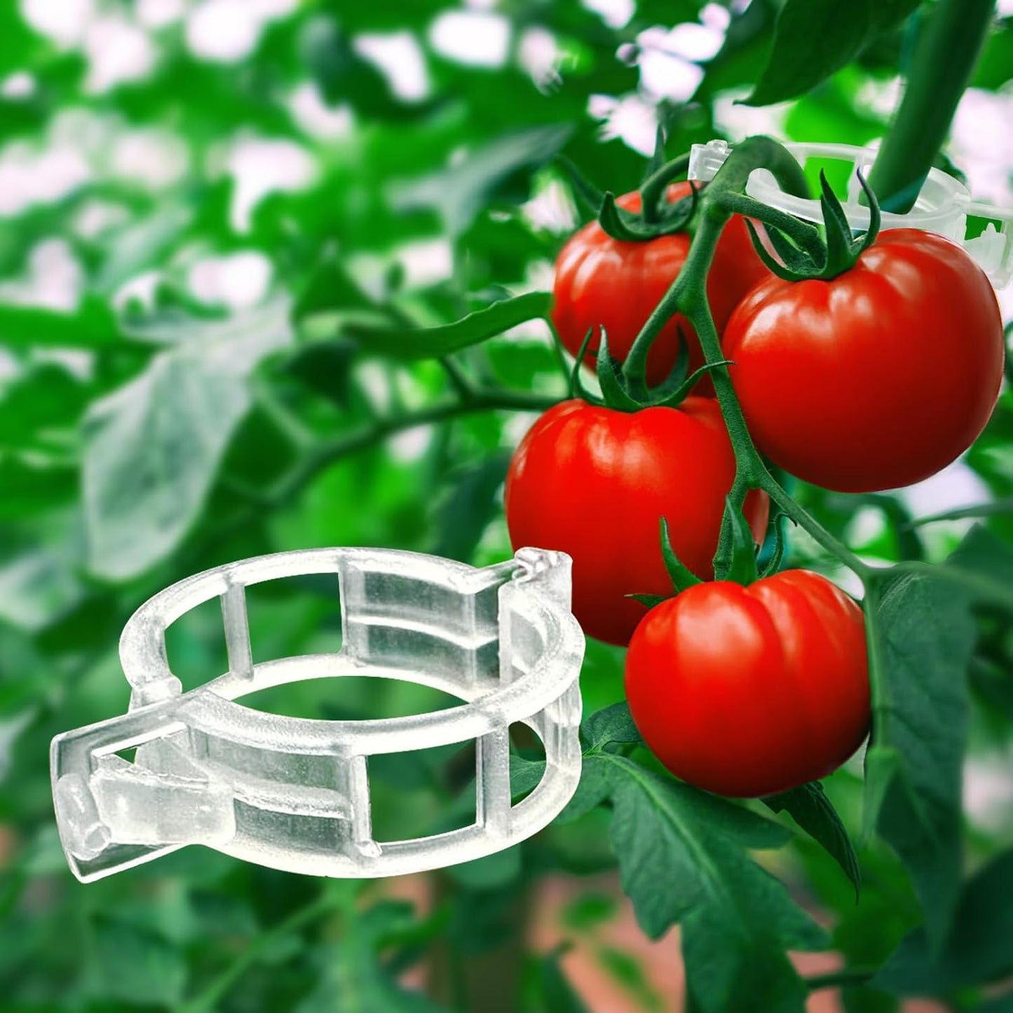 Tomato Clips for Climbing Plants 100 Pack Clear Reusable Plastic