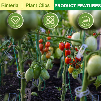 Tomato Clips for Climbing Plants 100 Pack Clear Reusable Plastic