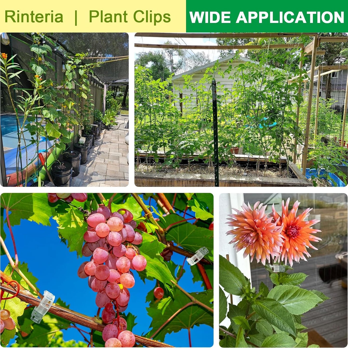 Tomato Clips for Climbing Plants 100 Pack Clear Reusable Plastic