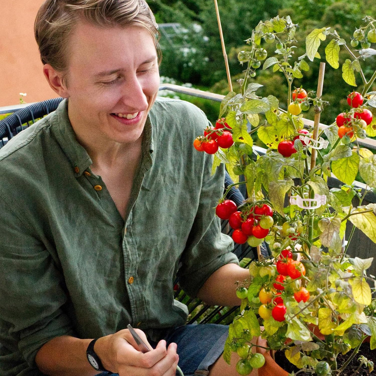 Tomato Clips for Climbing Plants 100 Pack Clear Reusable Plastic