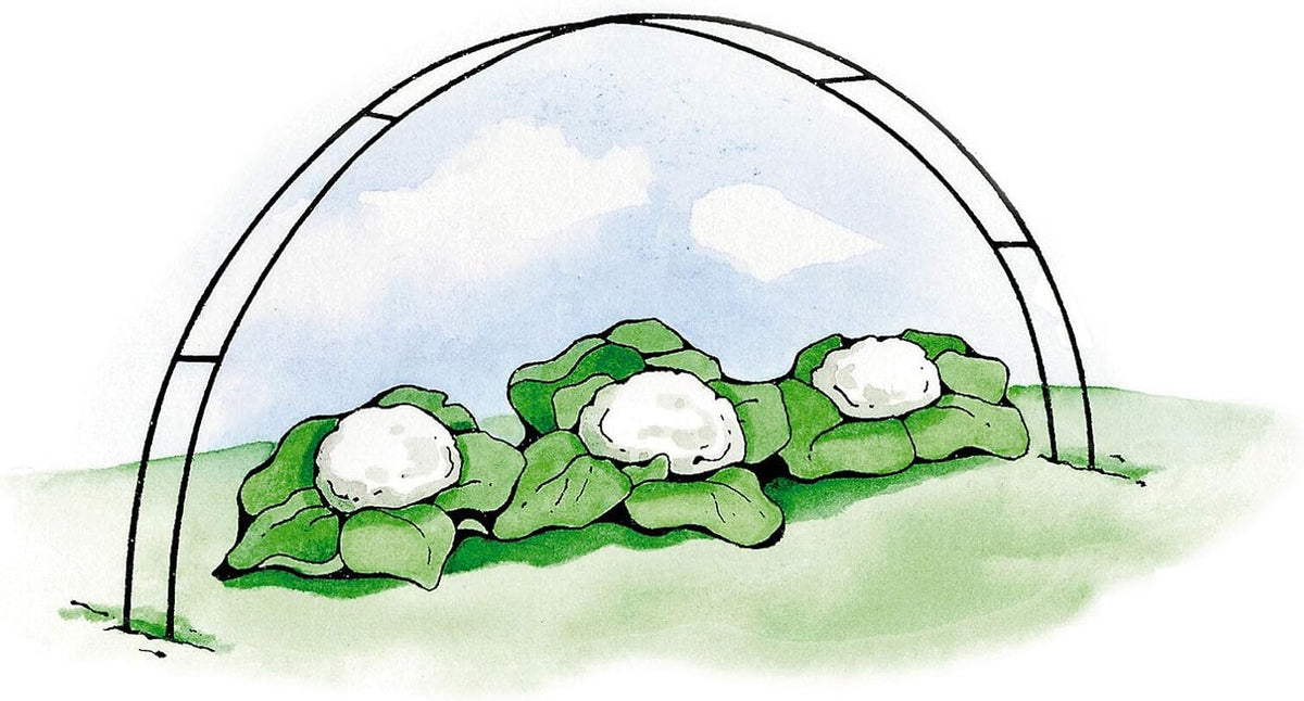 Garden Hoops Grow Tunnel Support | Greenhouse Arch Frame for Raised Bed Plants & Vegetable Planter Box | 58" L x 4" W (Set of 6)