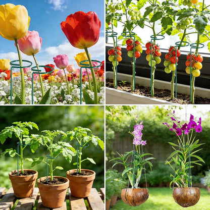 24 in Plant Stakes, 12 Pack Garden Plant Support Stakes(12" or 24")