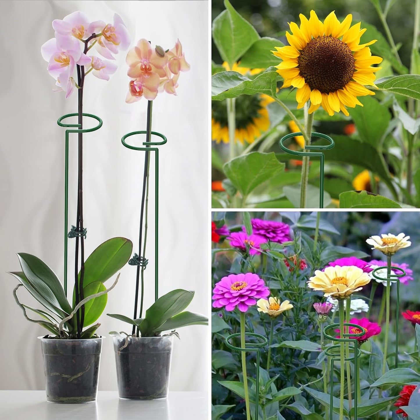 24 in Plant Stakes, 12 Pack Garden Plant Support Stakes(12" or 24")