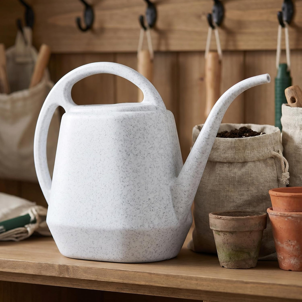 Plastic Watering Can, 1-Gallon