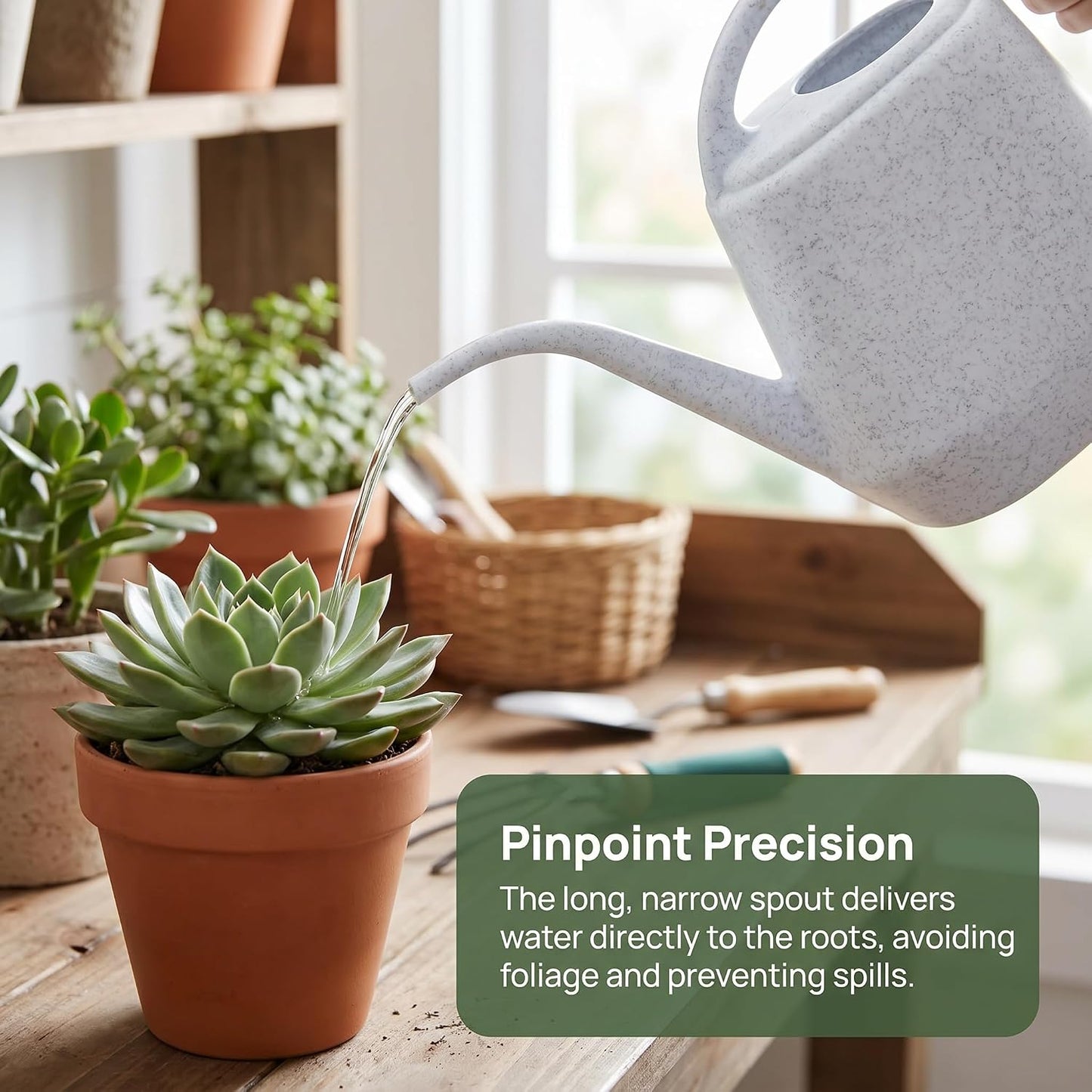 Plastic Watering Can, 1-Gallon
