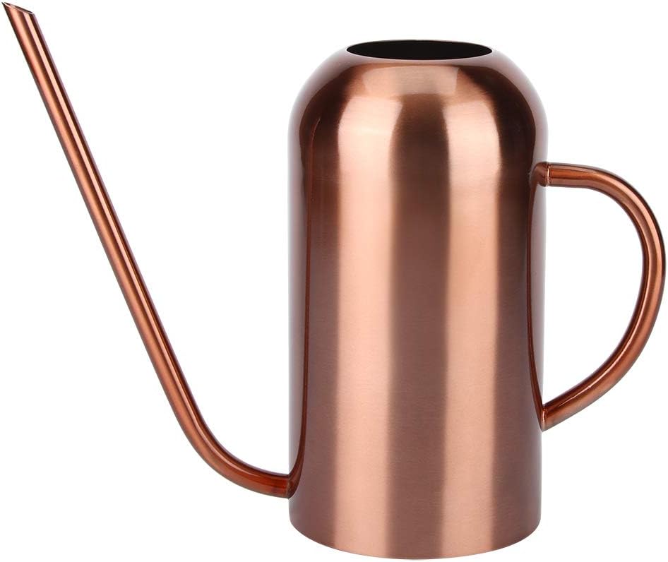 Long Spout Watering Can, 1.5L/50oz Stainless Steel Sprinkling Can Pot for Indoor Plants House Plants Flower Watering Pot Outdoor for Succulent Bonsai Garden