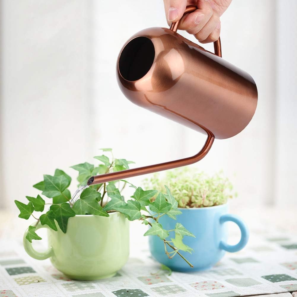 Long Spout Watering Can, 1.5L/50oz Stainless Steel Sprinkling Can Pot for Indoor Plants House Plants Flower Watering Pot Outdoor for Succulent Bonsai Garden