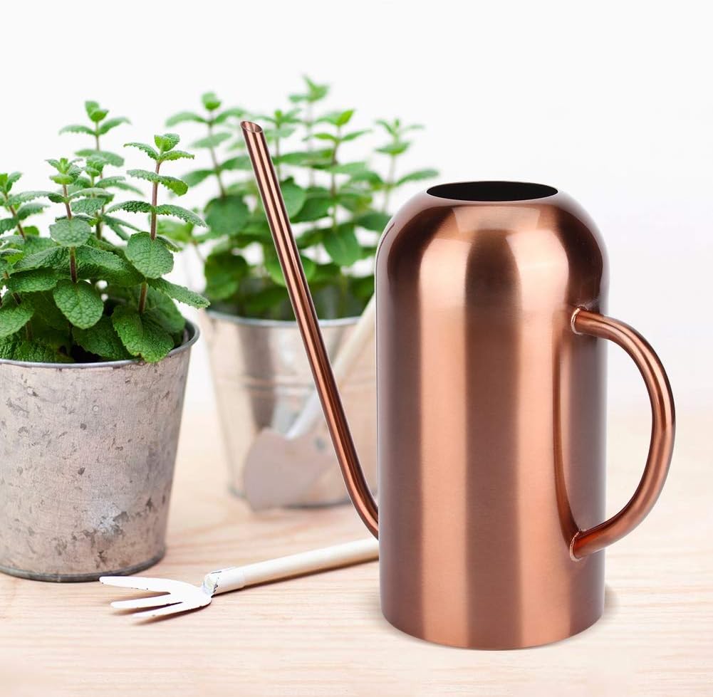 Long Spout Watering Can, 1.5L/50oz Stainless Steel Sprinkling Can Pot for Indoor Plants House Plants Flower Watering Pot Outdoor for Succulent Bonsai Garden