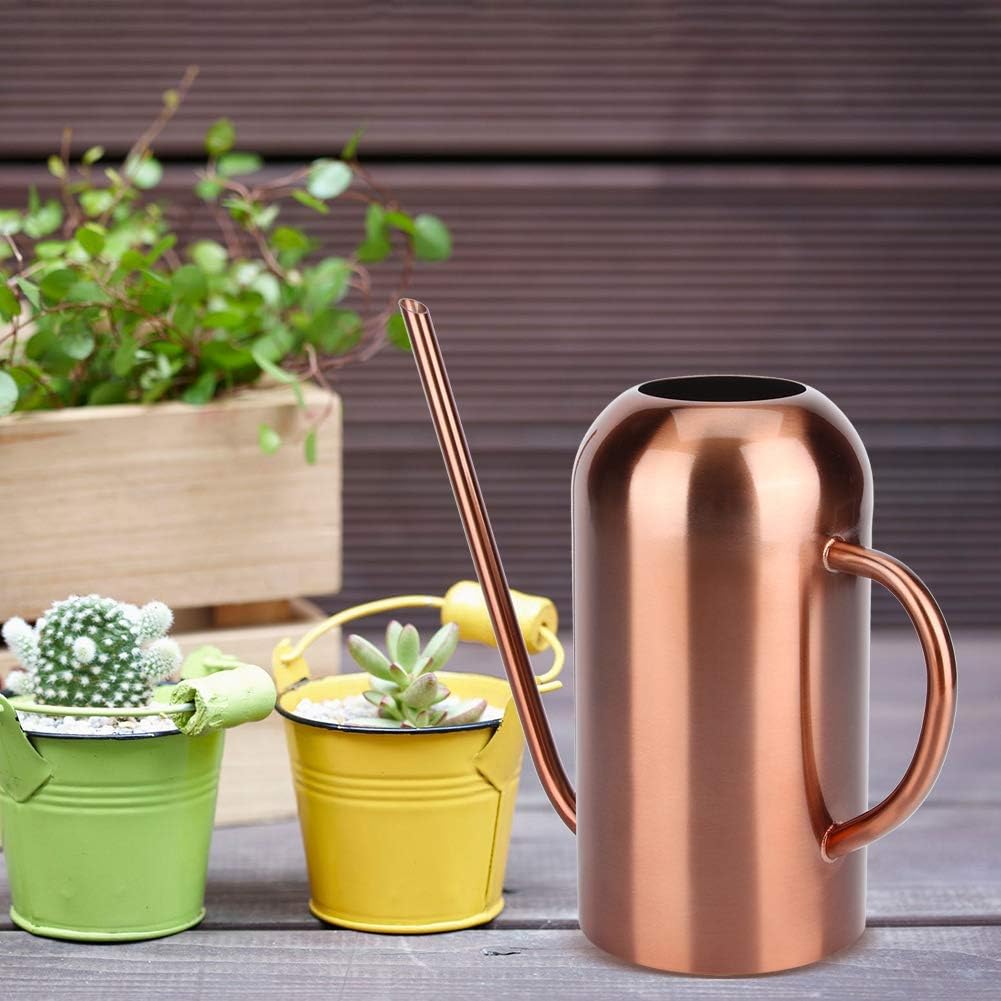 Long Spout Watering Can, 1.5L/50oz Stainless Steel Sprinkling Can Pot for Indoor Plants House Plants Flower Watering Pot Outdoor for Succulent Bonsai Garden