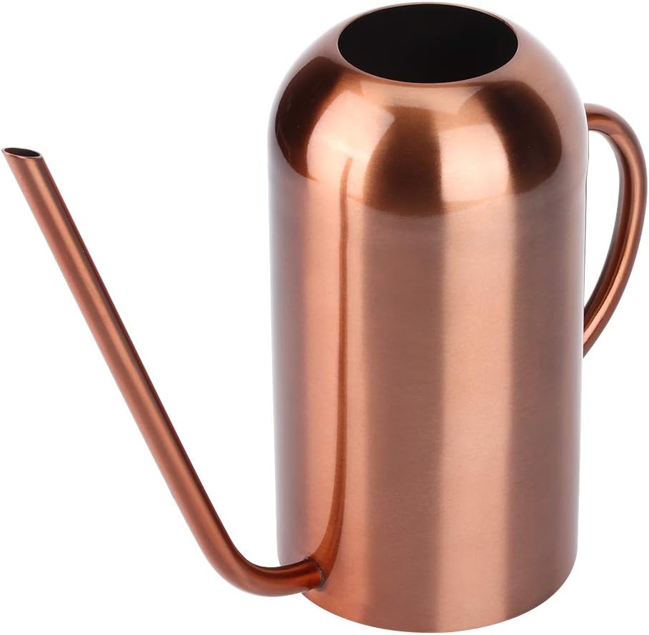 Long Spout Watering Can, 1.5L/50oz Stainless Steel Sprinkling Can Pot for Indoor Plants House Plants Flower Watering Pot Outdoor for Succulent Bonsai Garden