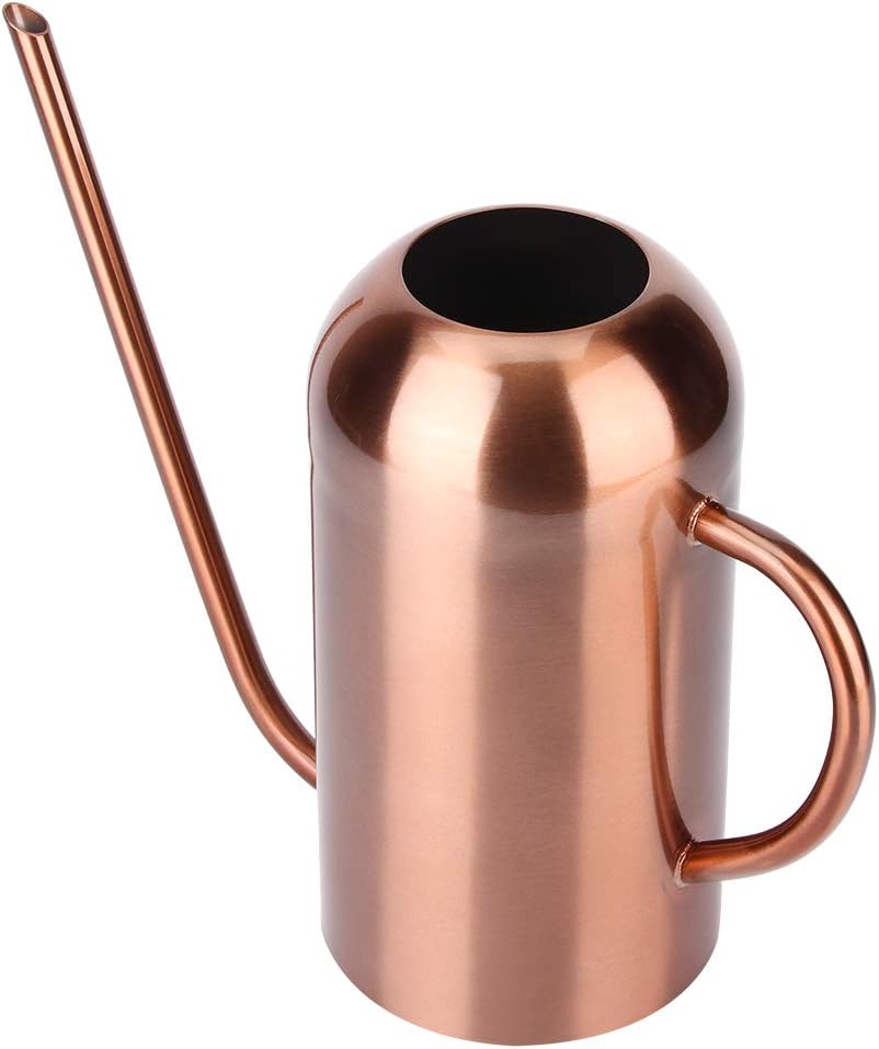 Long Spout Watering Can, 1.5L/50oz Stainless Steel Sprinkling Can Pot for Indoor Plants House Plants Flower Watering Pot Outdoor for Succulent Bonsai Garden