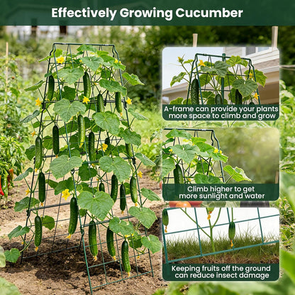 2 Pack Cucumber Trellis, 48"x16" Adjustable A-Frame Trellis for Climbing Plants, Metal Foldable Upgraded Vegetable Trellis for Raised Bed, Support for Tomatoes, Squash, Zucchini, Vegetables & Flowers