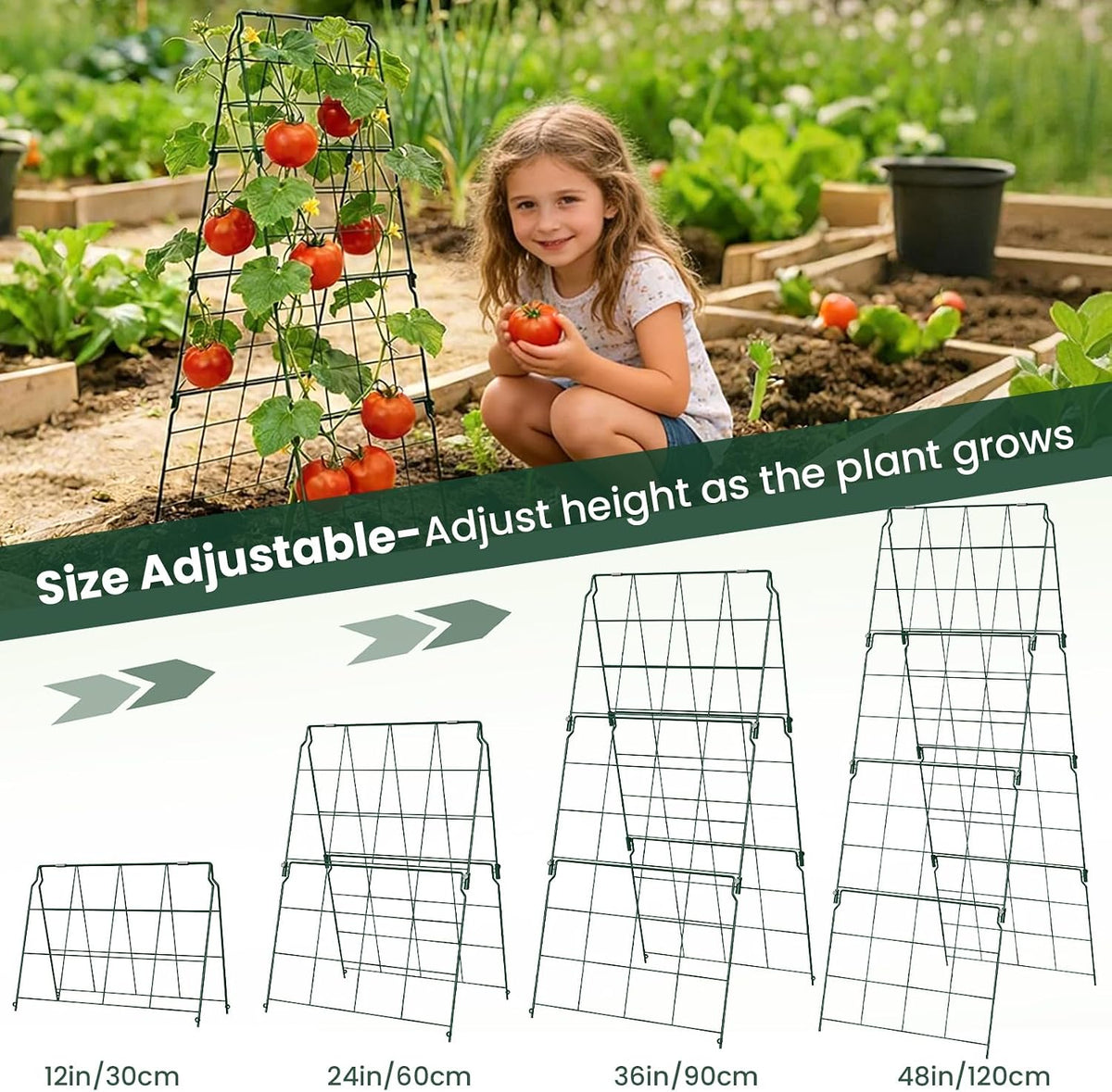 2 Pack Cucumber Trellis, 48"x16" Adjustable A-Frame Trellis for Climbing Plants, Metal Foldable Upgraded Vegetable Trellis for Raised Bed, Support for Tomatoes, Squash, Zucchini, Vegetables & Flowers